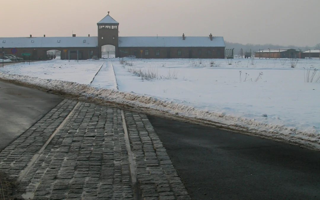 Educational and Historical Tours of Concentration Camps in Europe