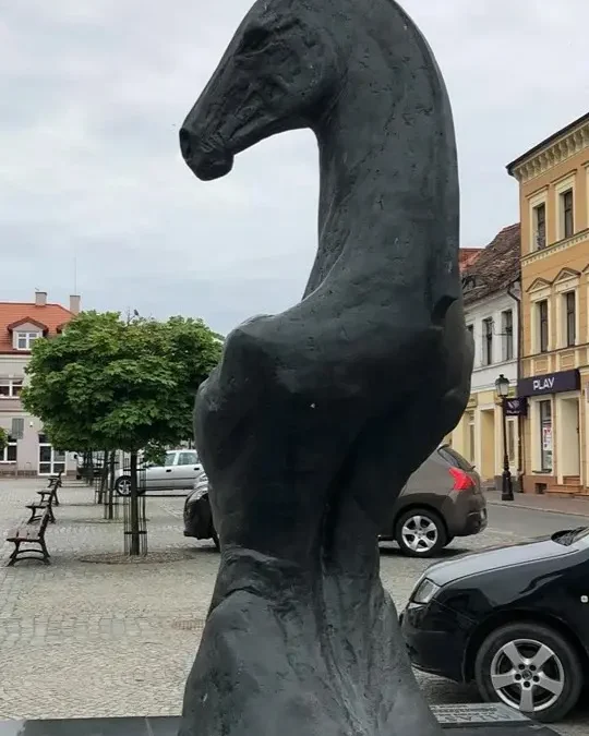 Konin poland birth records