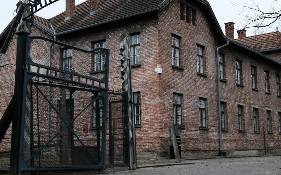 Life in the concentration camps