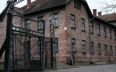 Life in the concentration camps